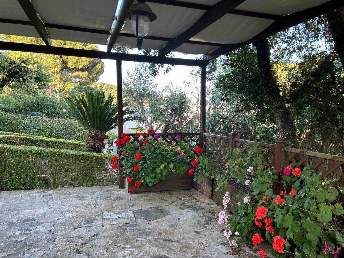 Villetta A Pochi Passi Dal Mare Santa Cesarea Terme Εξωτερικό φωτογραφία